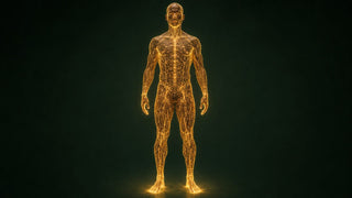 The Working Grid: The Lattice That Connects Your Three Bodies